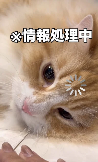 固まって考えている様子▶バッと体を起こし…（⇒次へ）
