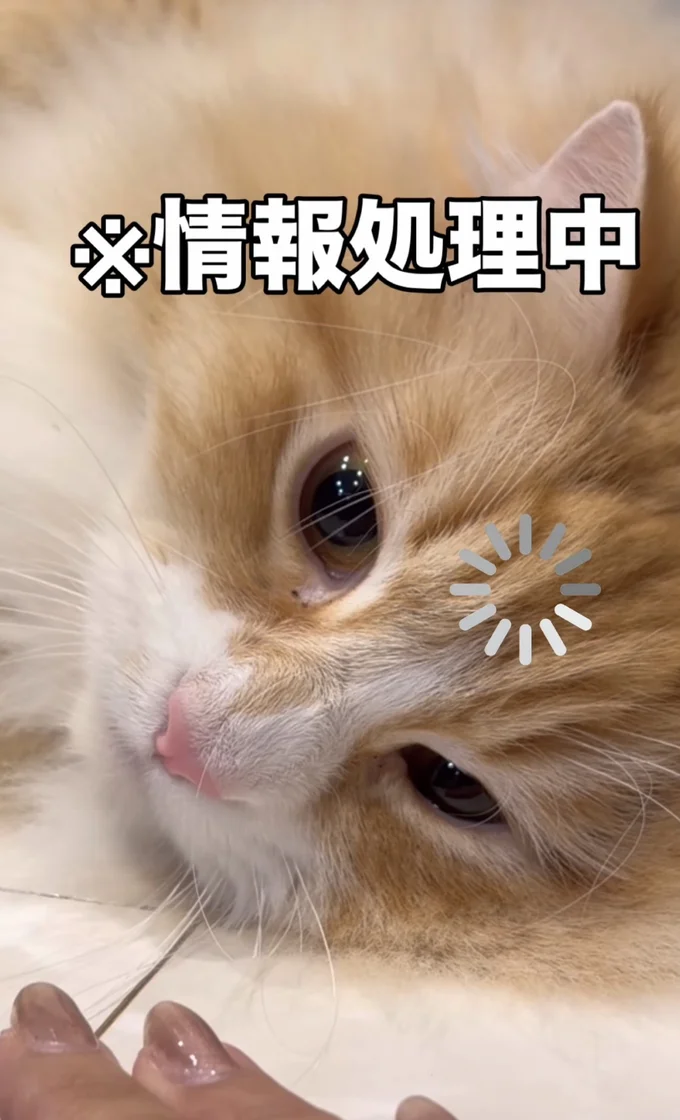 固まって考えている様子▶バッと体を起こし…（⇒次へ）