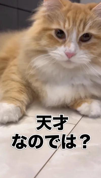 得意げな表情▶さらに…（⇒次へ）