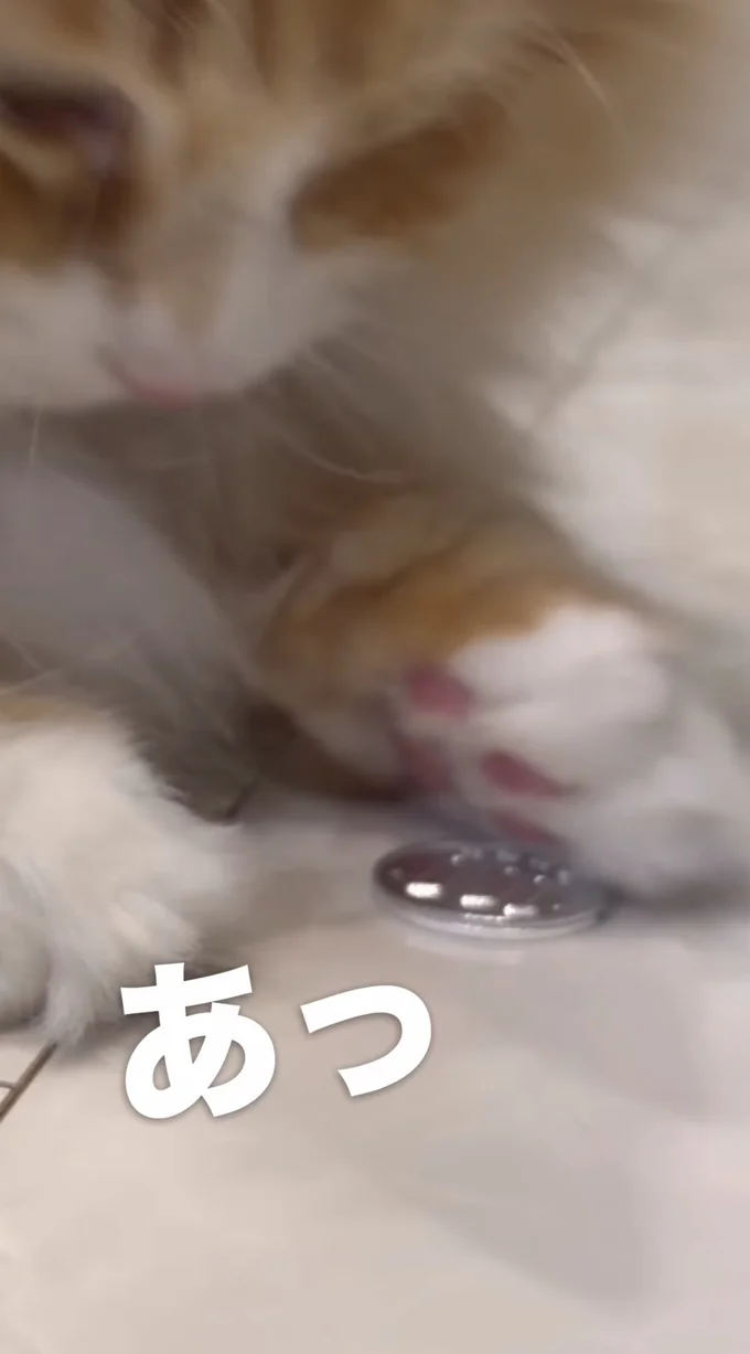 手から100円玉がはみ出してしまった▶不満だったのか…（⇒次へ）
