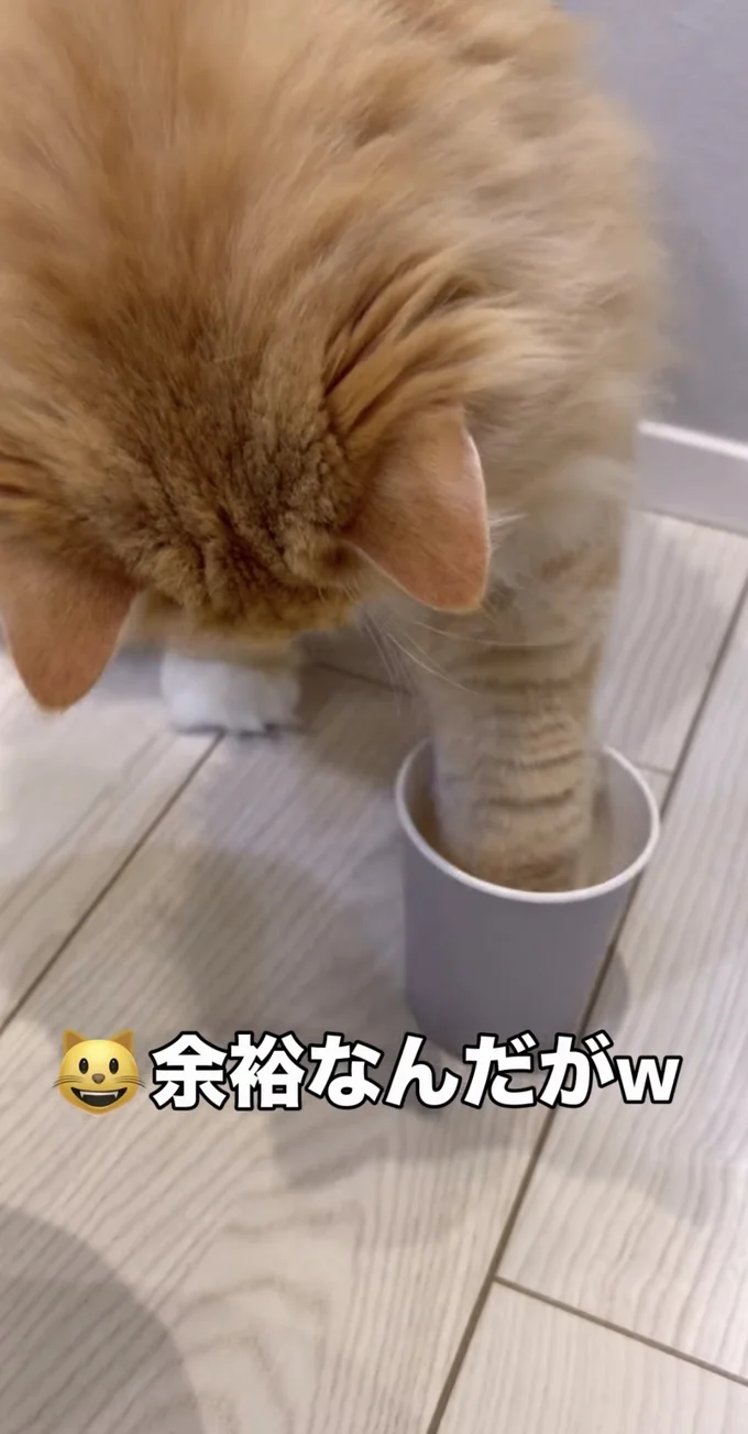 手で取れそう▶結局…（⇒次へ）