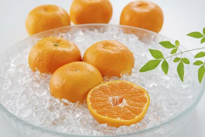 太陽が育てたとろける甘さ！夏のデザート「ハウスみかん」
