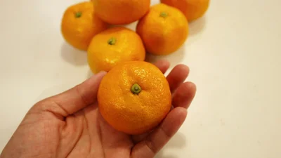 つやつやで色鮮やかなみかん