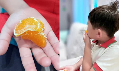 おいしいみかんに大興奮の息子。パクパク食べる手が止まりません…！