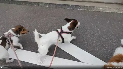 走り出しました！▶止まったと思ったら…（⇒次へ）