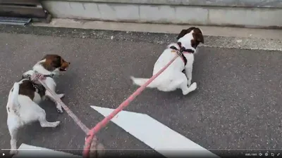 踏み込んで…▶壁にアタック！（⇒次へ）