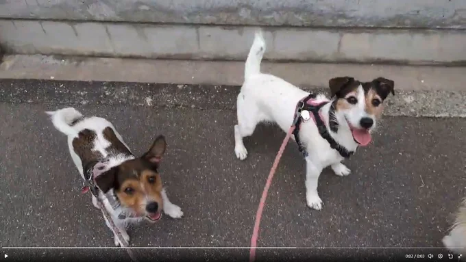 上手にできてニッコリのシャーロットちゃんとエリちゃんでした▶川の字ですやすや（⇒次へ）