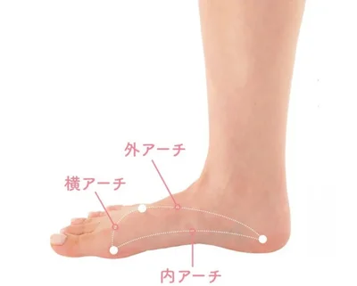 足裏アーチが美脚の守り神