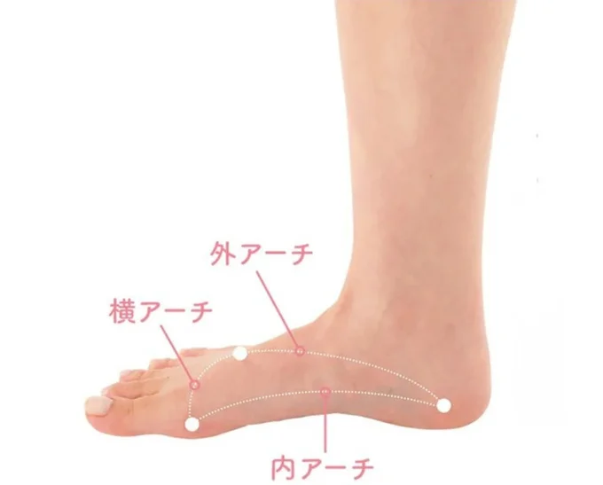 足裏アーチが美脚の守り神