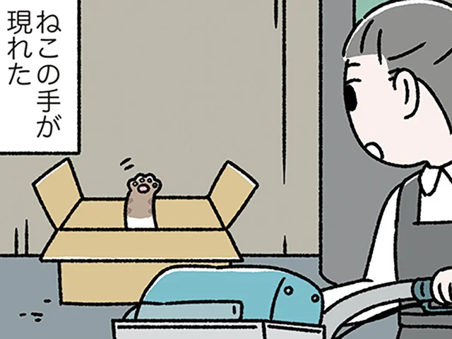 【ねこの手も借りたい】忙しいときに現れた「救いの手」。何の役にも立たないけれど