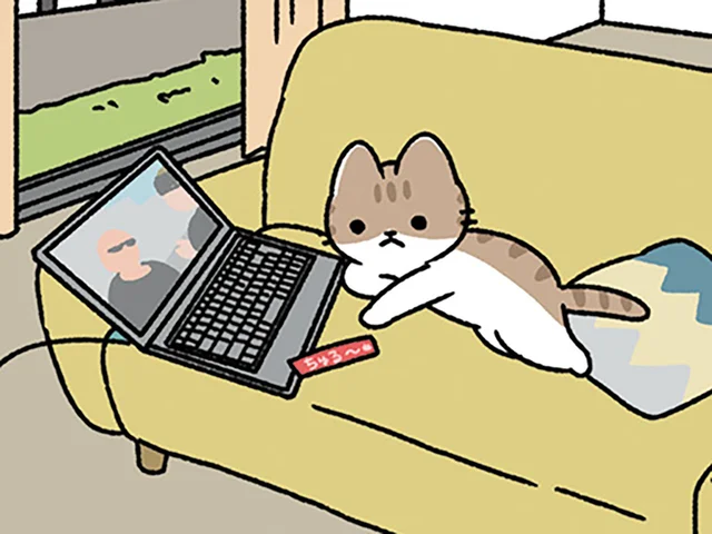 【犬は人につき、ねこは家につく】ねこと犬は違う習性だけれど、いつも一緒にいてくれる！