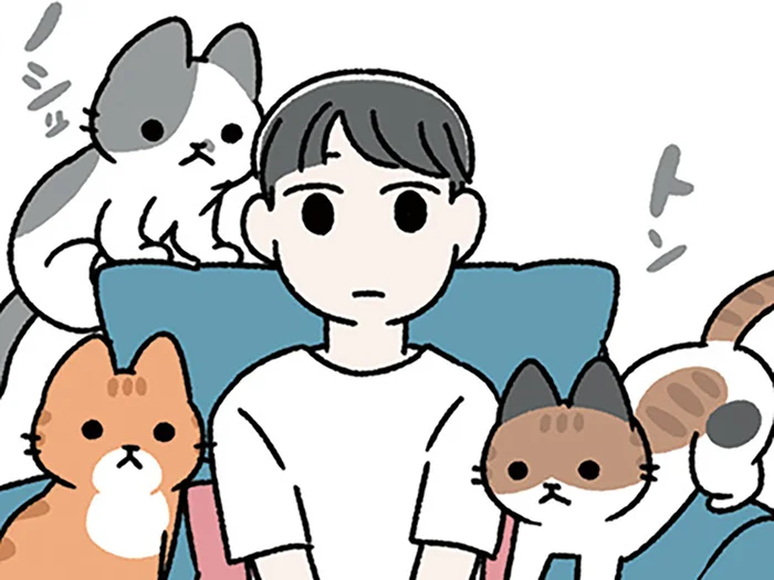 【ねこは長者の生まれ変わり】我が家の3匹のねこは、長者になるスキルが備わっている？