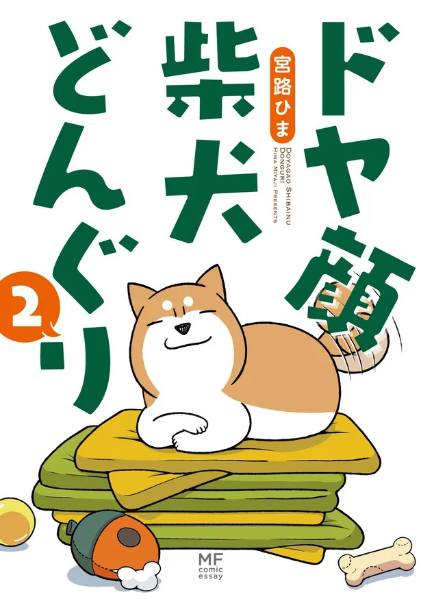 『ドヤ顔柴犬どんぐり2』より
