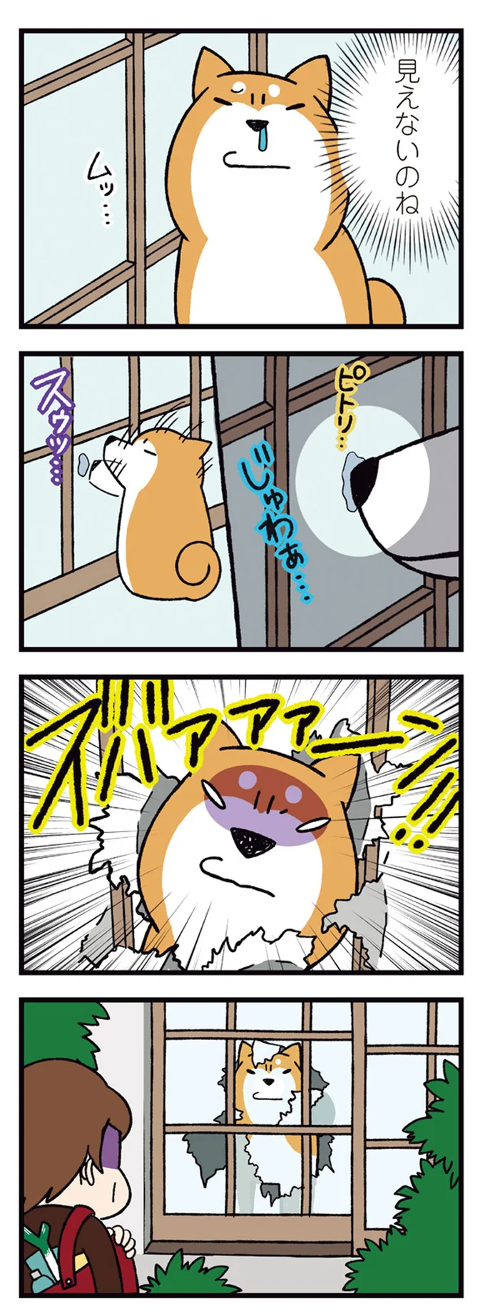 『ドヤ顔柴犬どんぐり2』より