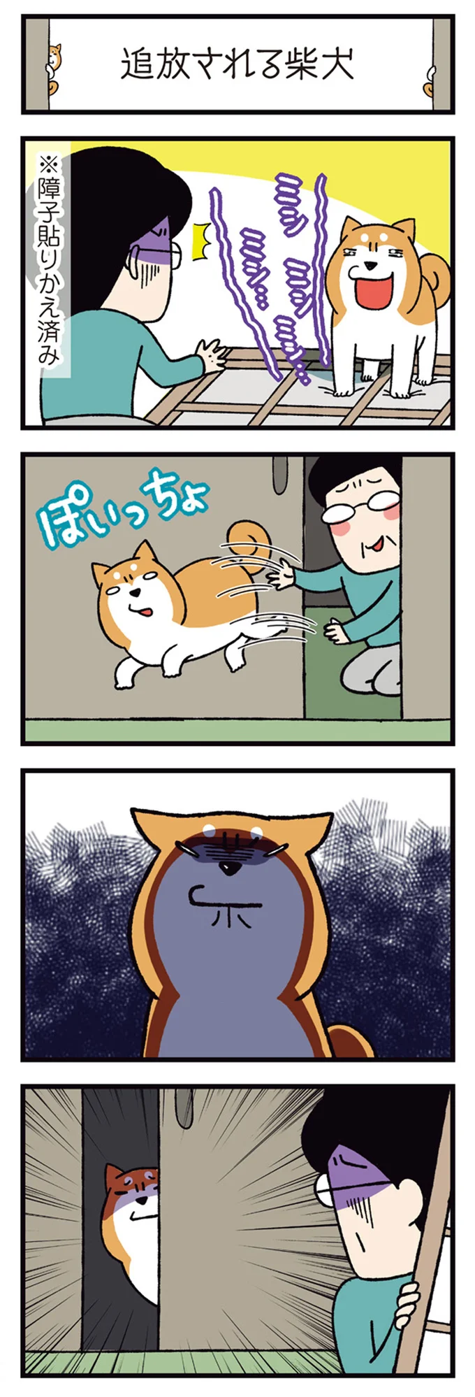 『ドヤ顔柴犬どんぐり2』より