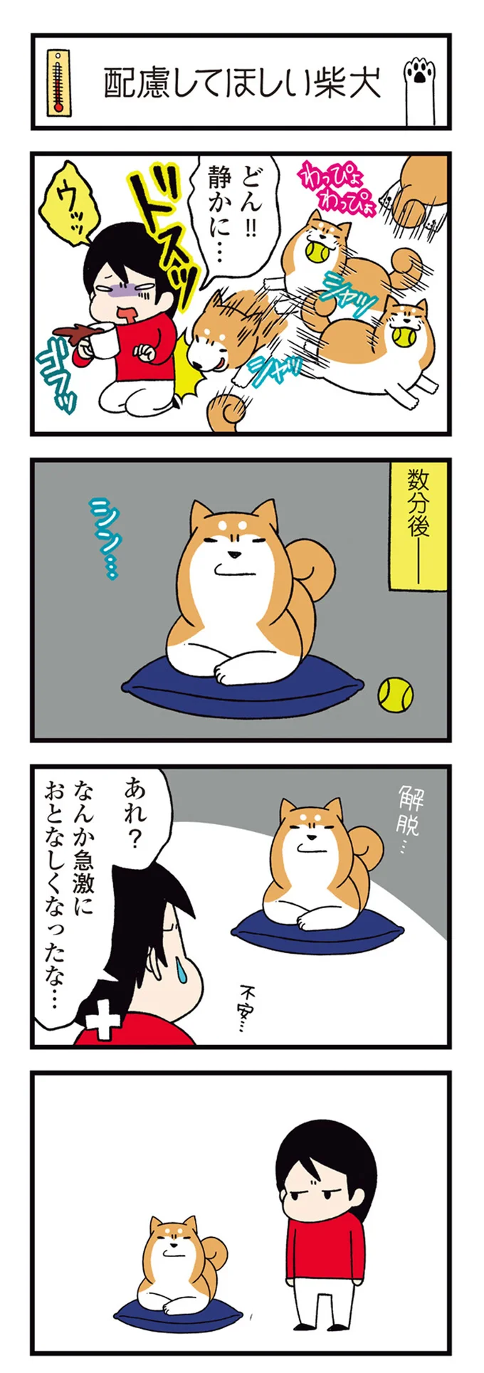 『ドヤ顔柴犬どんぐり2』より