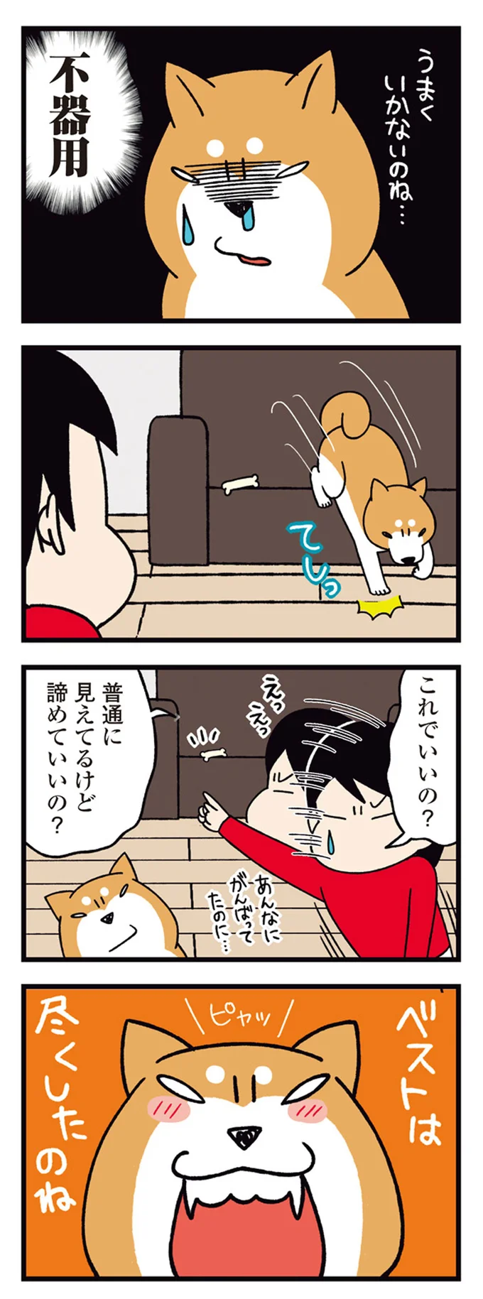 『ドヤ顔柴犬どんぐり2』より