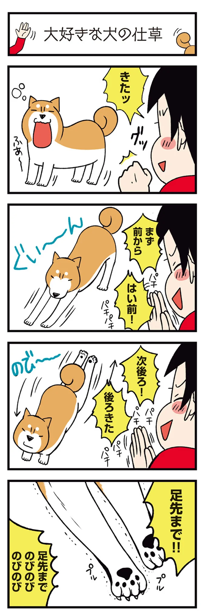 『ドヤ顔柴犬どんぐり2』より