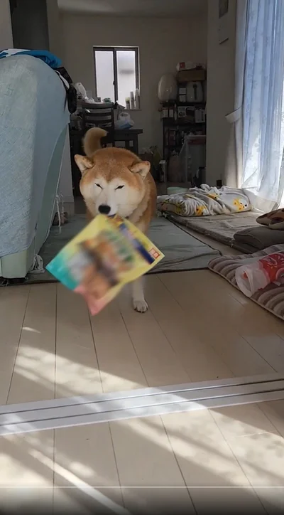 ウッキウキの茶々丸くん▶うれしい！が全身に（⇒次へ）