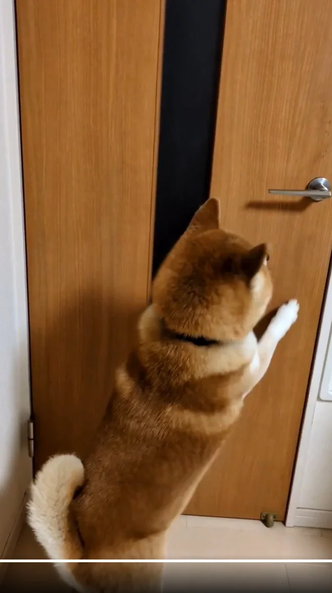 しっかり閉まったか確認！▶任務完了！（⇒次へ）