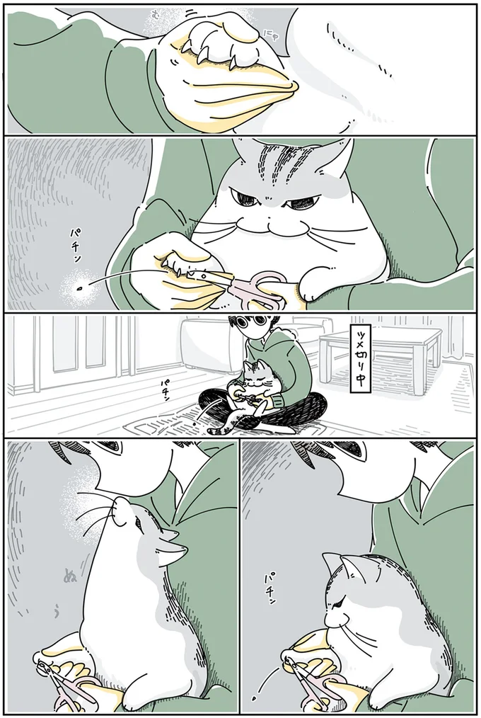 ツメ切り中