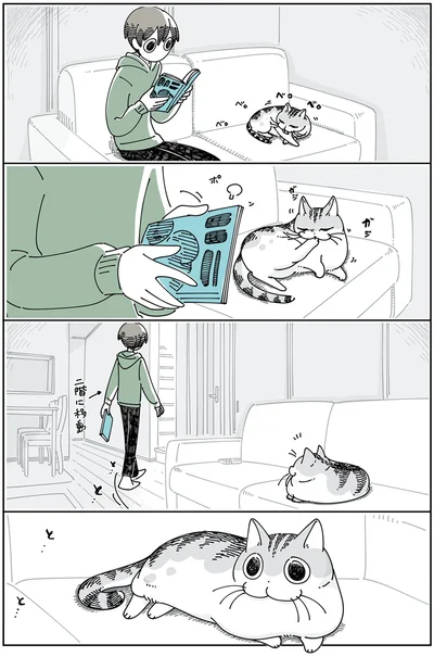 ついてきてくれるネコ