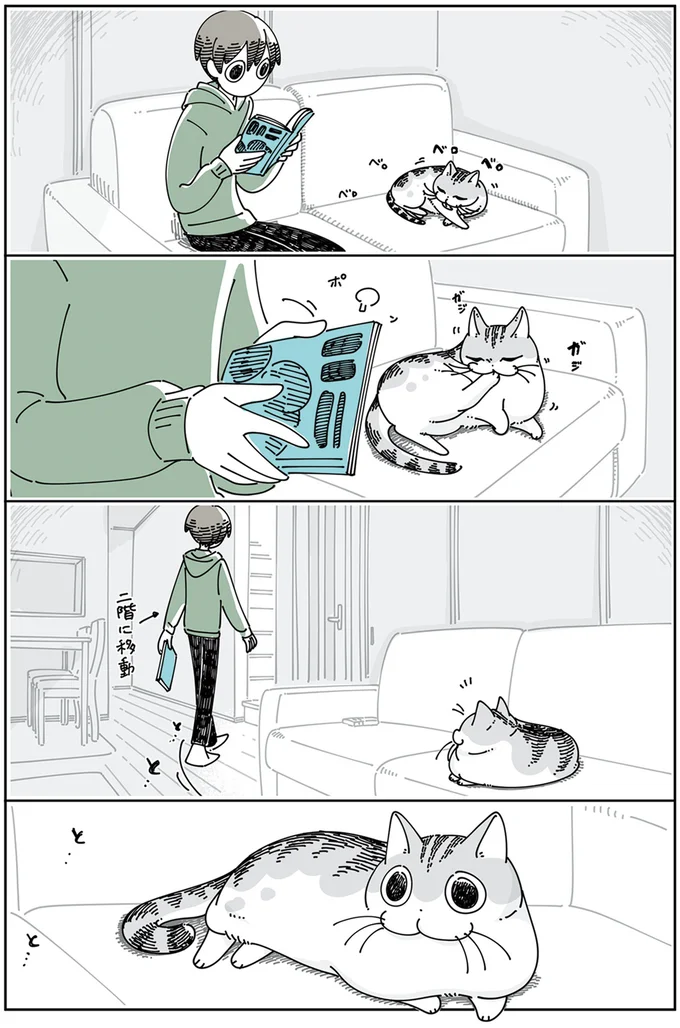 ついてきてくれるネコ