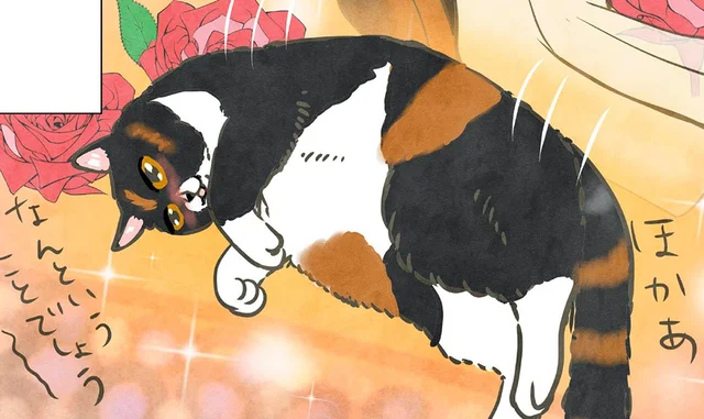 ポーランドからきたマダム猫、初めてのホットカーペットにとろ～ん