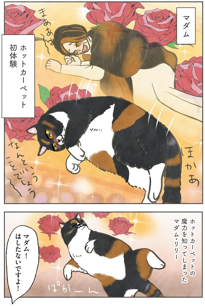 マダム!はしたないですよ!