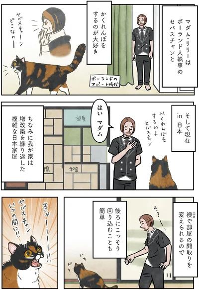『ポーランドからやってきた マダム猫の古民家暮らし』より