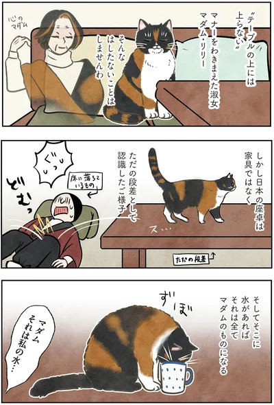 『ポーランドからやってきた マダム猫の古民家暮らし』より