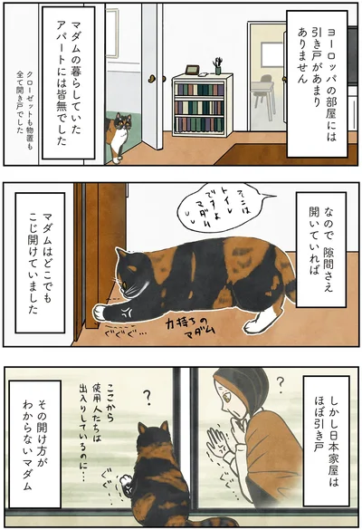 『ポーランドからやってきた マダム猫の古民家暮らし』より