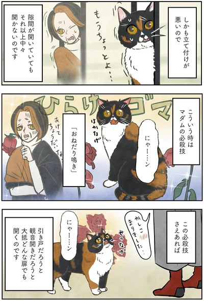 『ポーランドからやってきた マダム猫の古民家暮らし』より