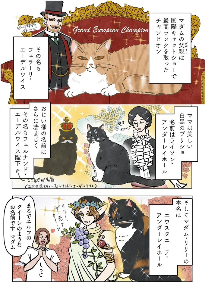 『ポーランドからやってきた マダム猫の古民家暮らし』より