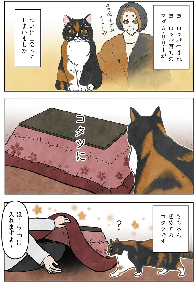 『ポーランドからやってきた マダム猫の古民家暮らし』より