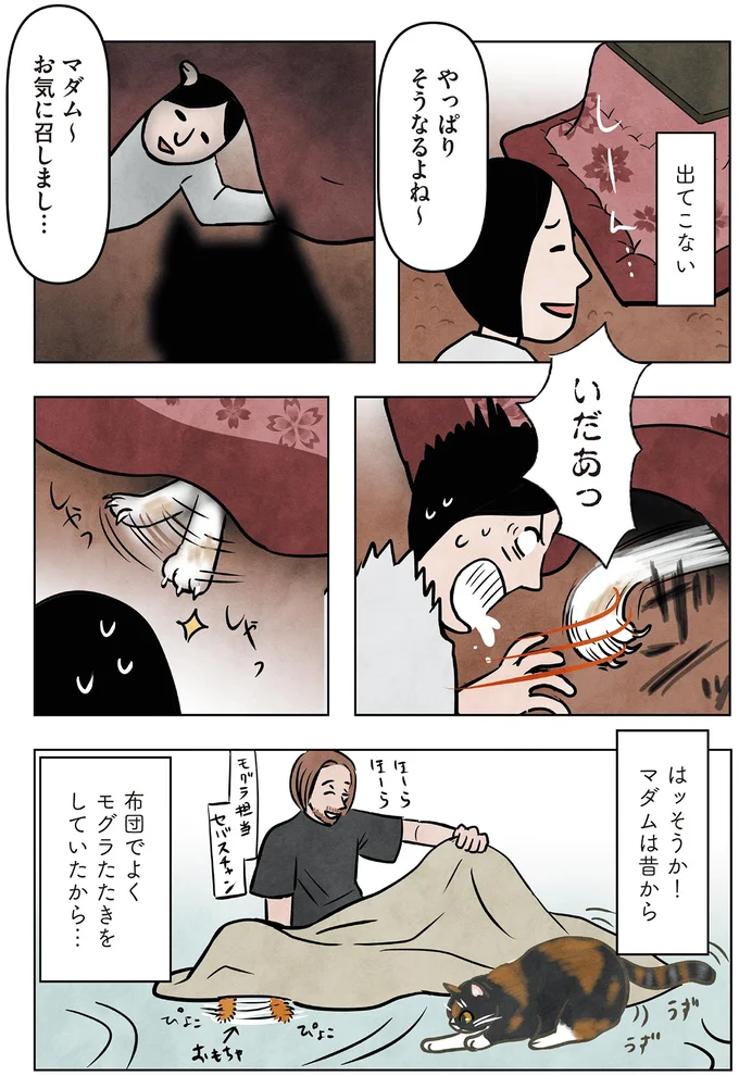 『ポーランドからやってきた マダム猫の古民家暮らし』より
