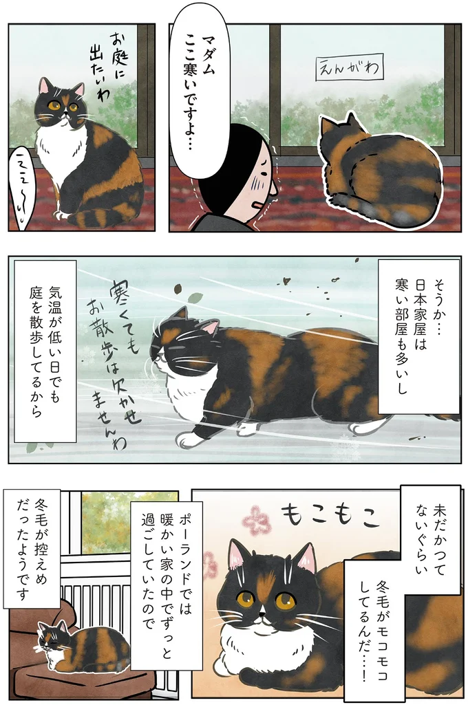 『ポーランドからやってきた マダム猫の古民家暮らし』より