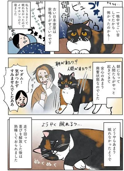 『ポーランドからやってきた マダム猫の古民家暮らし』より