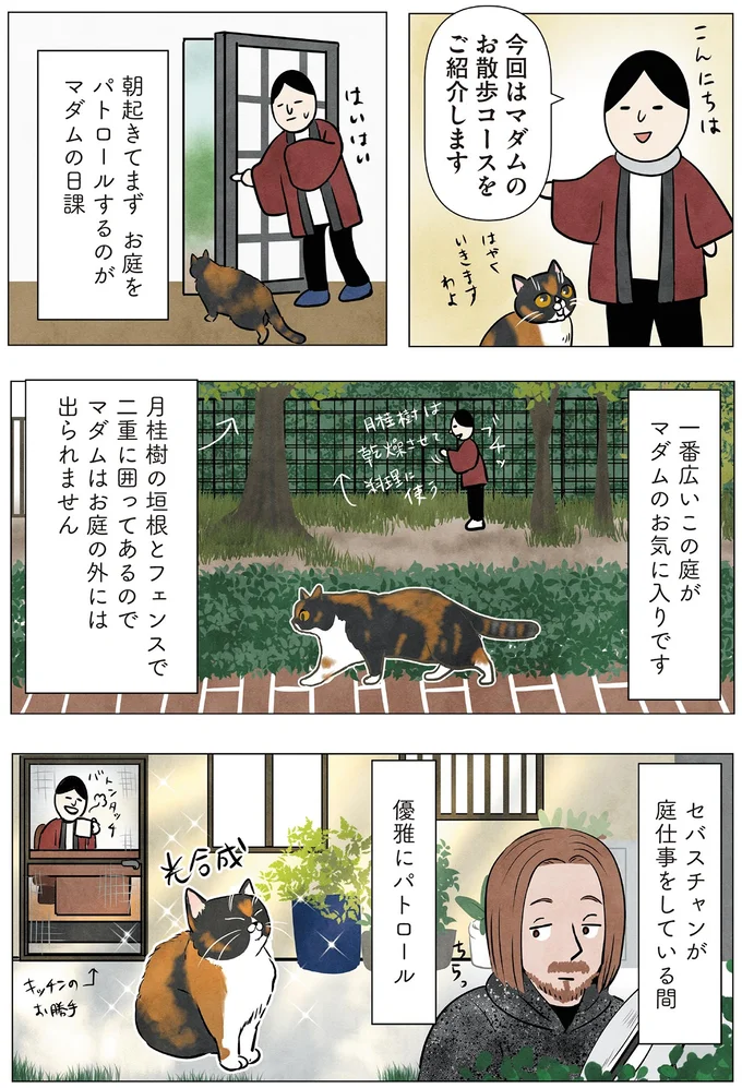 『ポーランドからやってきた マダム猫の古民家暮らし』より