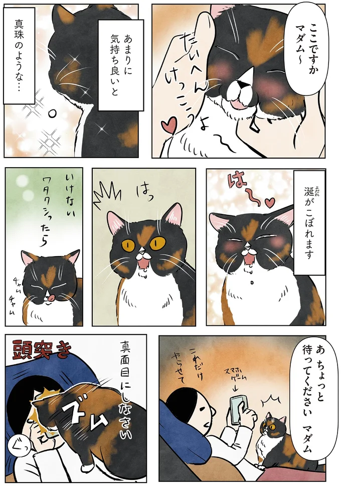 『ポーランドからやってきた マダム猫の古民家暮らし』より