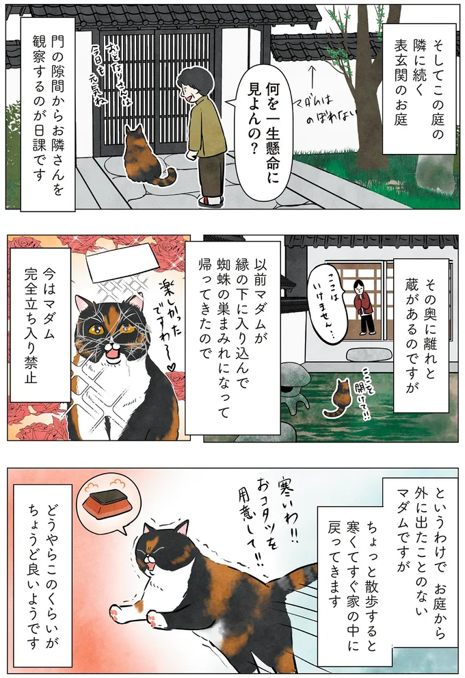 『ポーランドからやってきた マダム猫の古民家暮らし』より