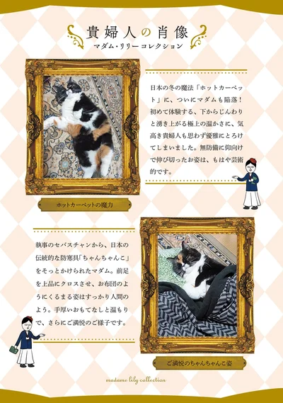 貴婦人の肖像