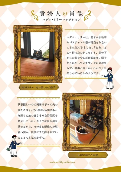 『ポーランドからやってきた マダム猫の古民家暮らし』より