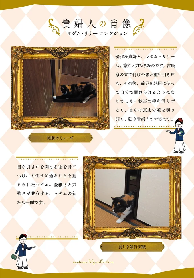 『ポーランドからやってきた マダム猫の古民家暮らし』より