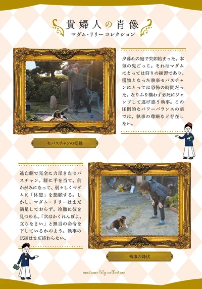 『ポーランドからやってきた マダム猫の古民家暮らし』より