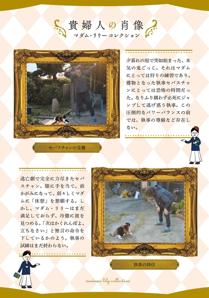 『ポーランドからやってきた マダム猫の古民家暮らし』より