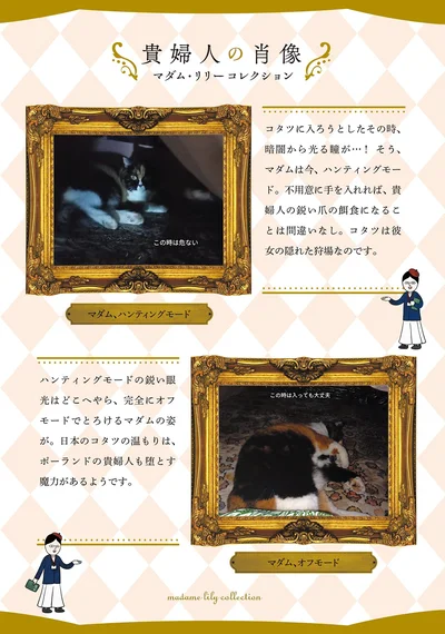 『ポーランドからやってきた マダム猫の古民家暮らし』より
