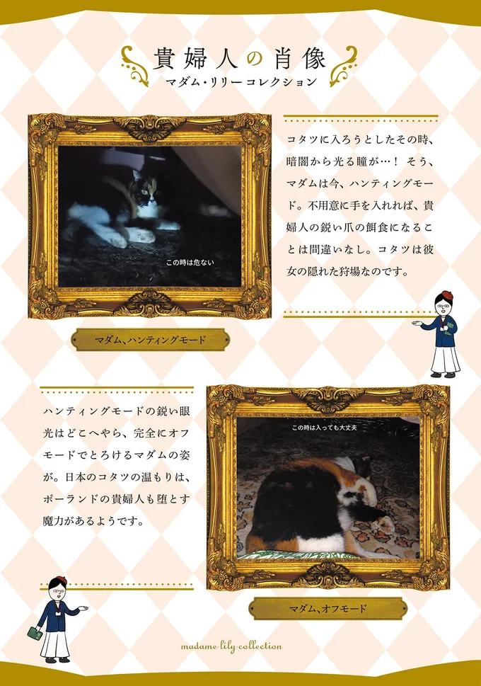 『ポーランドからやってきた マダム猫の古民家暮らし』より