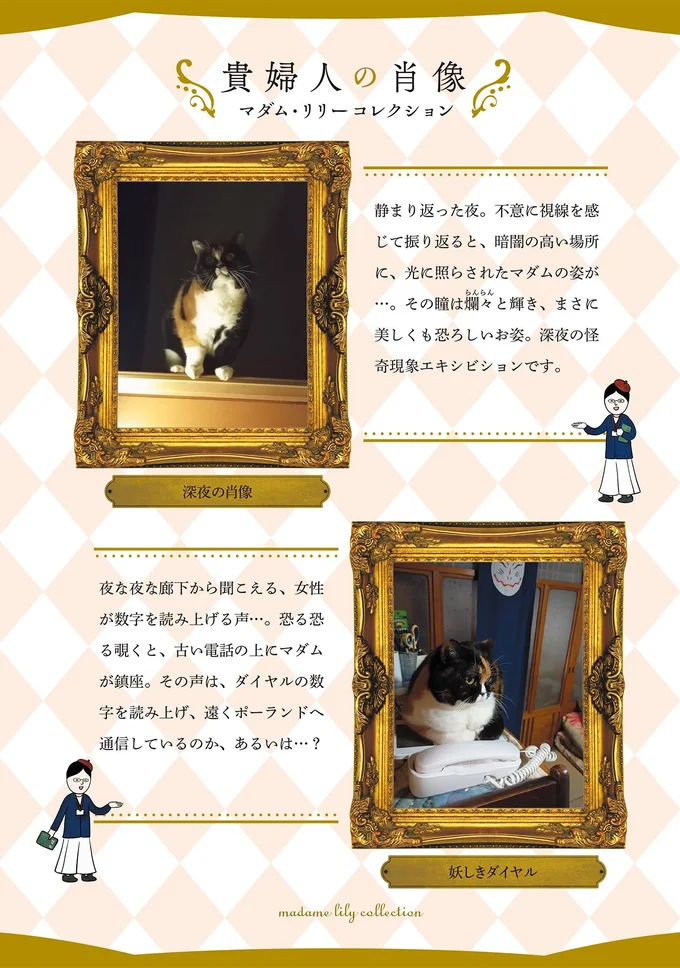 『ポーランドからやってきた マダム猫の古民家暮らし』より