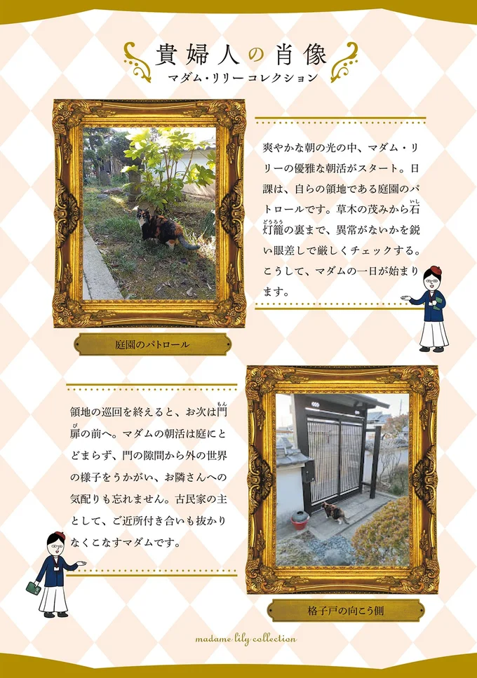 『ポーランドからやってきた マダム猫の古民家暮らし』より